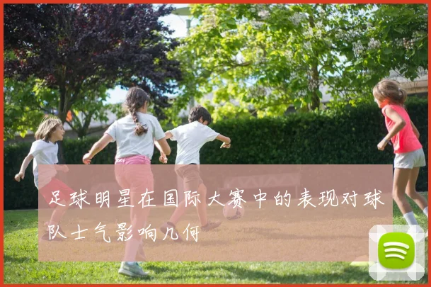 足球明星在国际大赛中的表现对球队士气影响几何