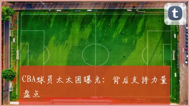 CBA球员太太团曝光：背后支持力量盘点