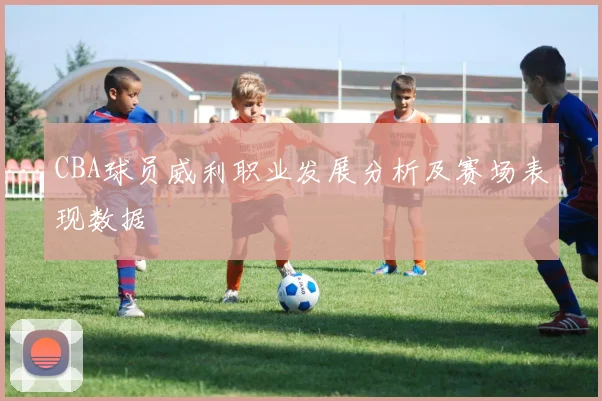 CBA球员威利职业发展分析及赛场表现数据